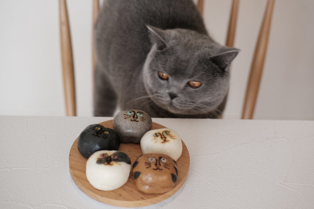 かわいすぎる！福を招く猫のお饅頭（飛騨高山の和菓子処『稲豊園』の招福猫子まんじゅう）