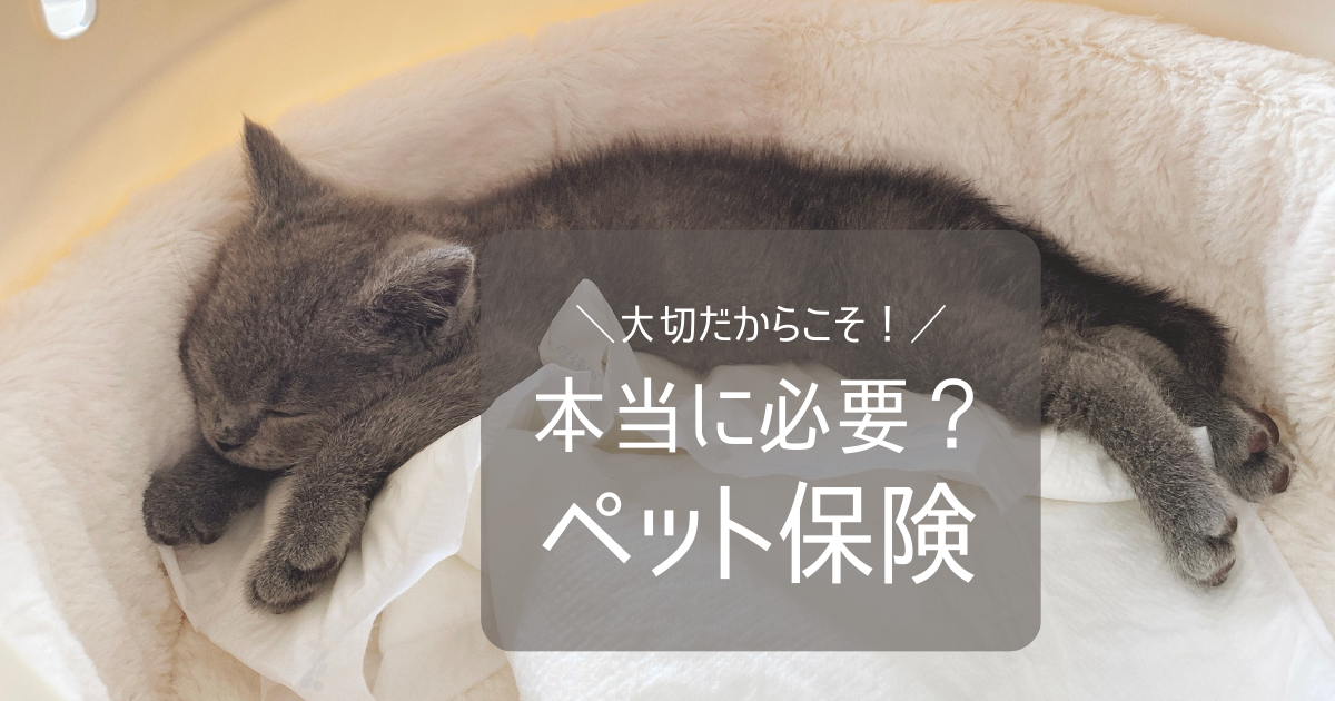 大切だからこそ！ 本当に必要？ペット保険